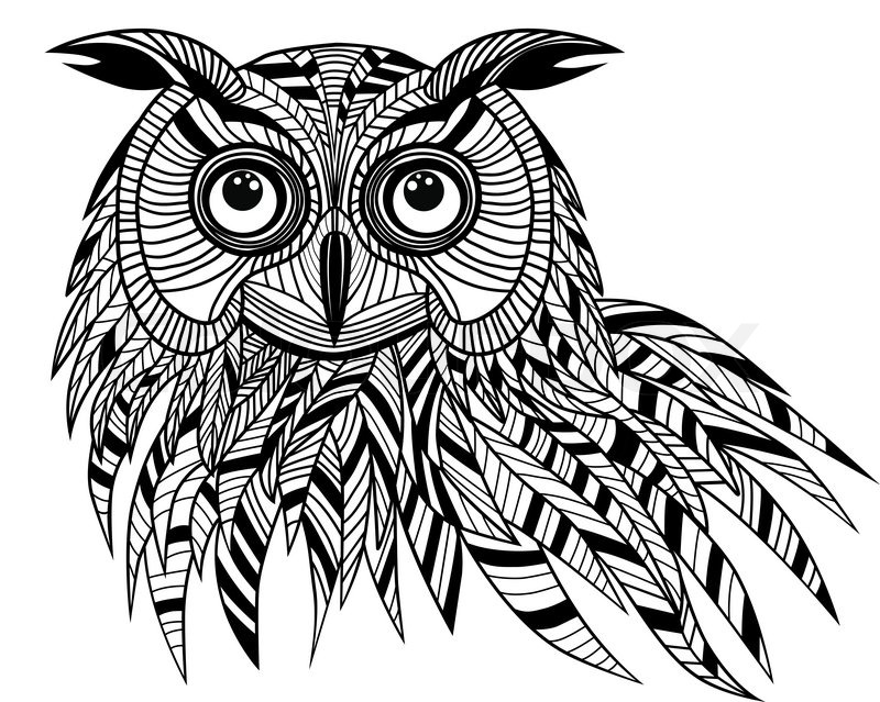 800x639 Owl Bird Head As Halloween Symbol For Mascot Or Emblem Design