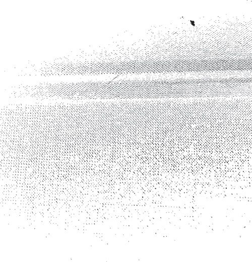 500x521 Free Vectors