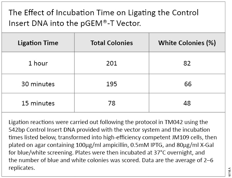 758x584 Shorten The Ligation Time For The Pgem T Vector Systems