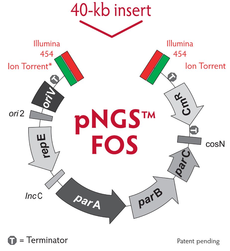 926x1010 Figure 1 Pngs Fos Vector Map.