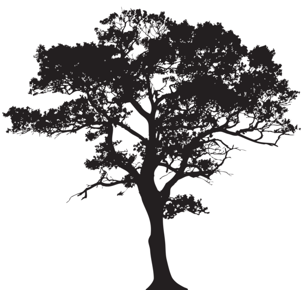 600x575 Silhouette Tree Png Clip Art Image Trees Oak Tree Vector