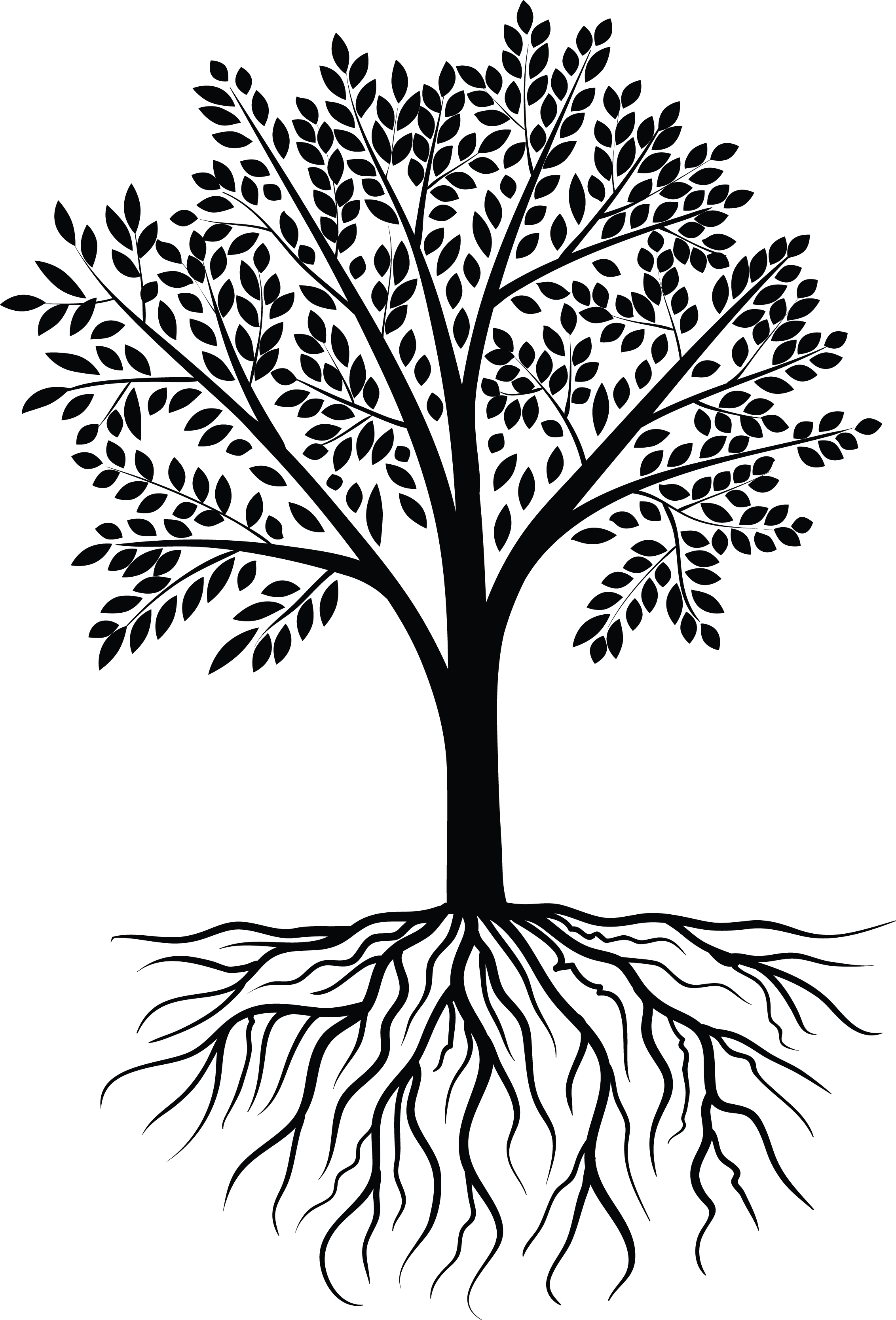 2264x3335 19 Rustic Vector Tree Huge Freebie! Download For Powerpoint
