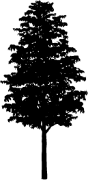 129x263 Collection Of Free Shape Vector Tree. Download On Ubisafe