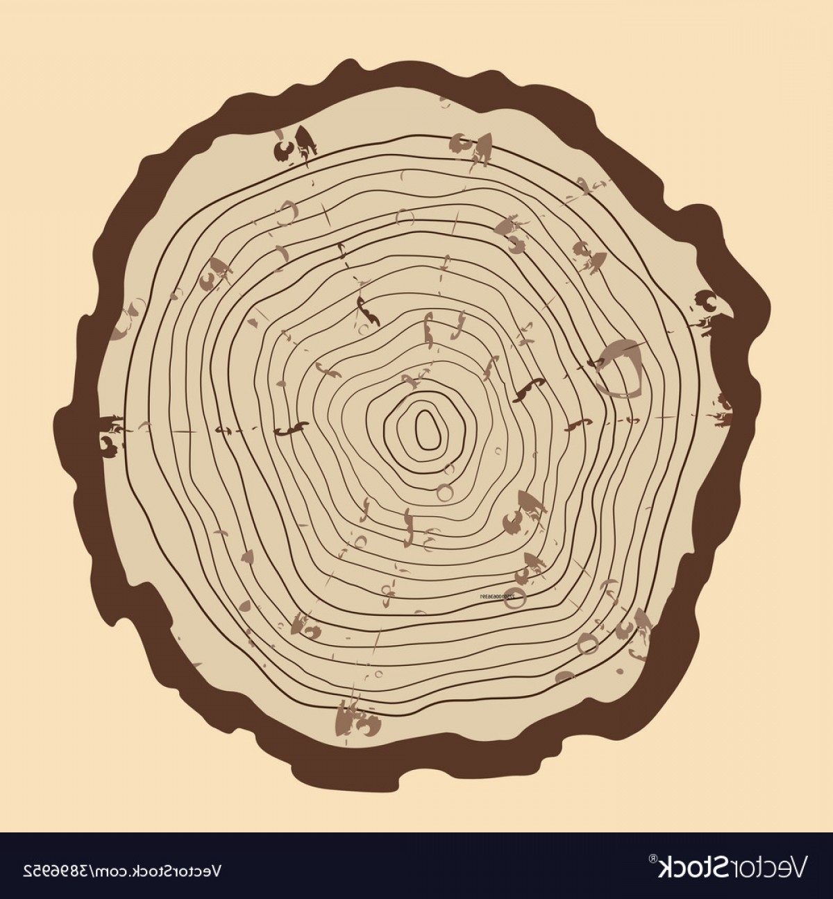 1200x1296 Tree Rings And Saw Cut Tree Trunk Vector Arenawp