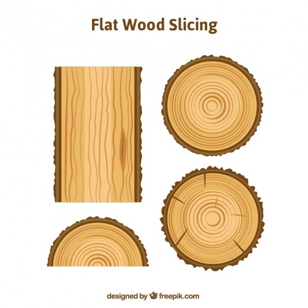 626x626 Tree Rings Vectors, Photos And Psd Files Free Download