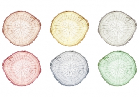 285x200 Tree Rings Tree Free Vector Graphic Art Free Download (Found 8,683