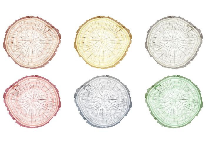 700x490 Vector Tree Rings