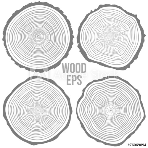 500x500 Vector Tree Rings Background And Saw Cut Tree Trunk