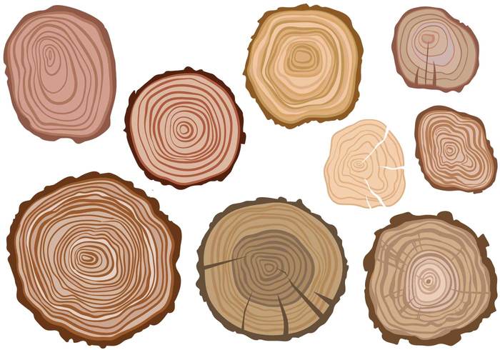 700x490 Free Tree Rings Vectors