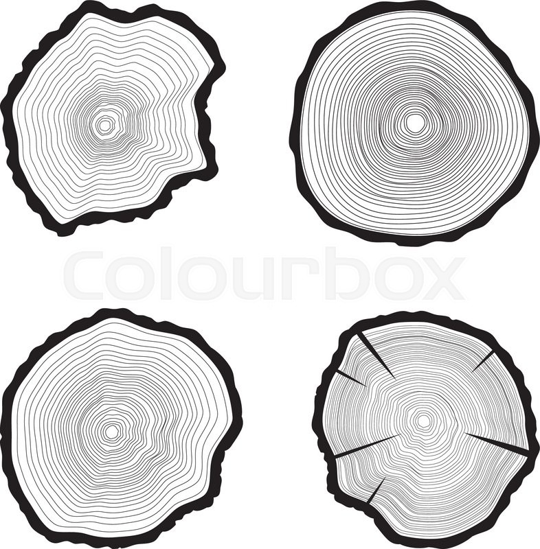 786x800 Set Tree Rings Background. Annual Tree. Vector Illustration