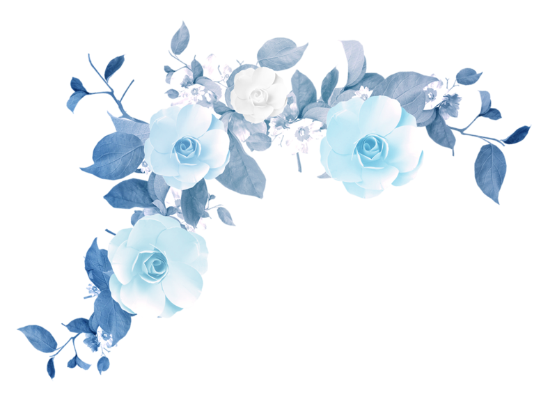 800x590 Watercolor Flower Tumblr Png