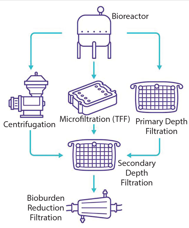 640x771 Vaccine Clarification With Filter Based Methods And Vector