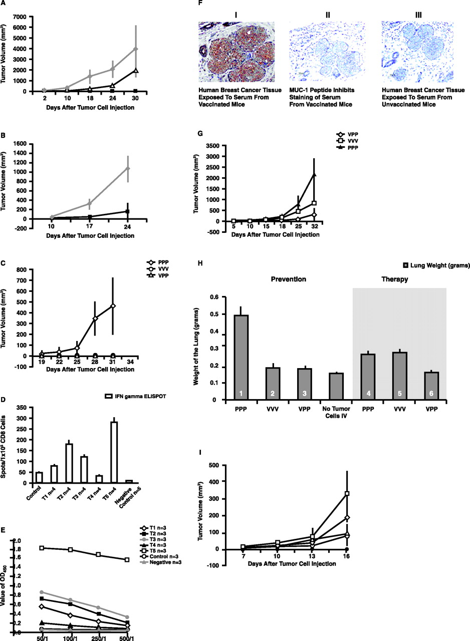 938x1280 Vector Primeprotein Boost Vaccine That Overcomes Defects Acquired