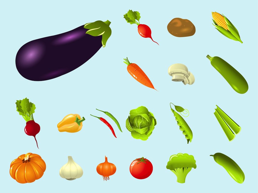 1024x768 Vegetables Vector Art Amp Graphics