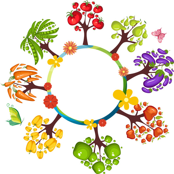 600x600 Vegetables Vector Free Vector 4vector