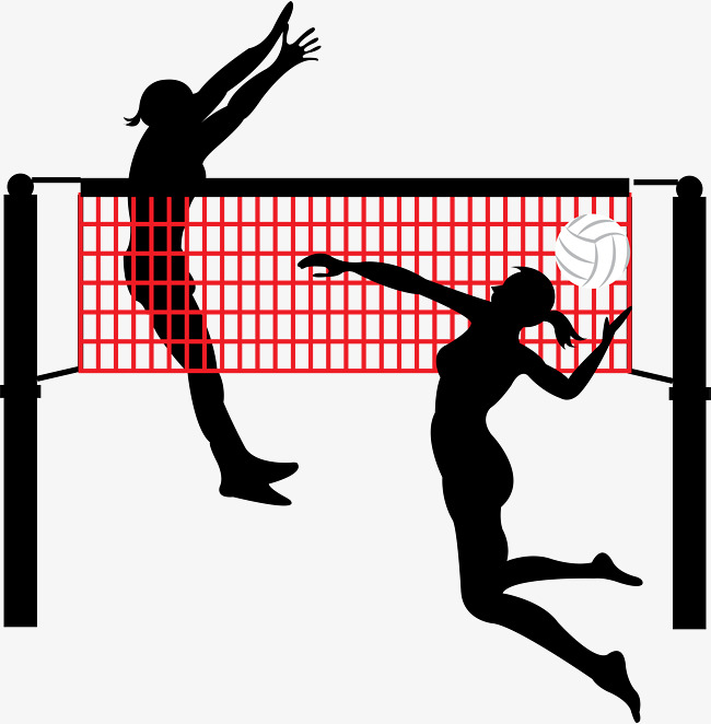 Vector Volleyball Net at GetDrawings | Free download