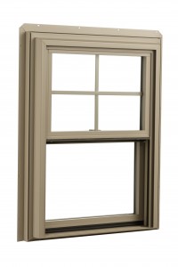 200x300 Envision Vector Windows