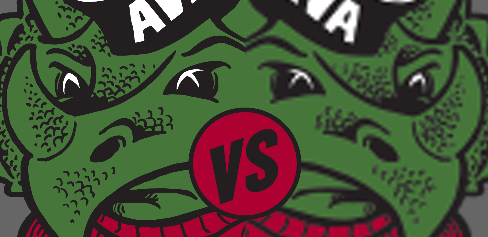 1600x780 The Difference Between Vector And Raster Art Files