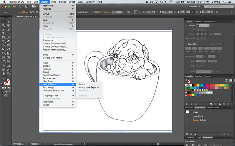 800x500 How To Turn A Photo Into A Vector Line Art With Illustrator
