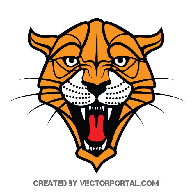 660x660 Wild Cat Mascot Vector Image