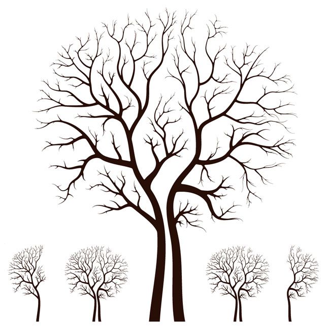 650x645 Vector Image Of Tree Leafless Autumn Tree Design Vector Free