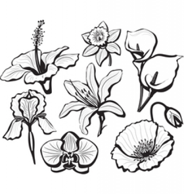 380x400 Vectorstock Website Review Amp Ratings + Vectorstock Coupons