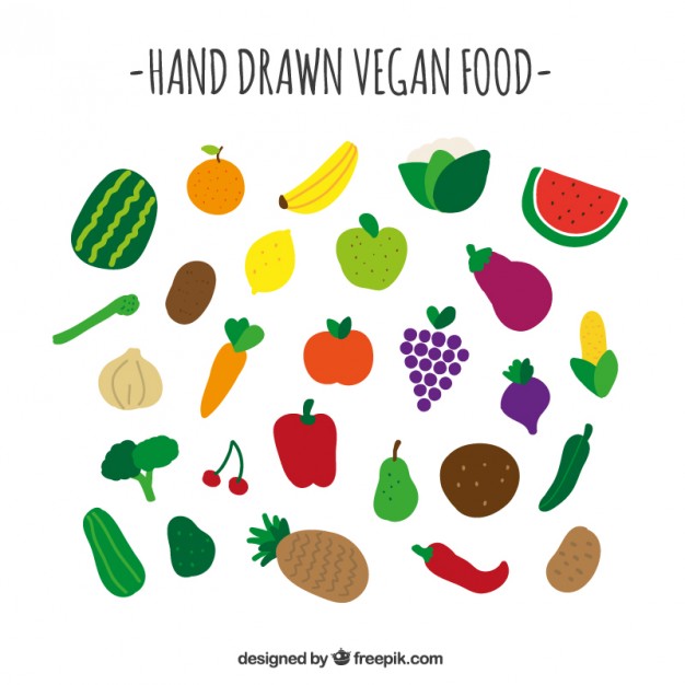 626x626 Vegan Food Collection Vector Free Download