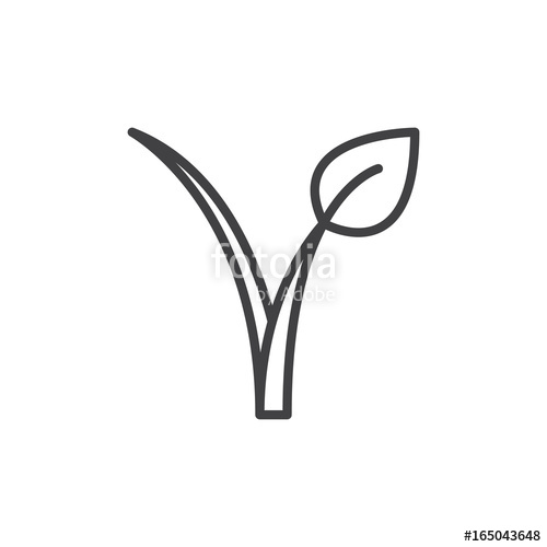 500x500 Vegan Food Logo Line Icon, Outline Vector Sign, Linear Style