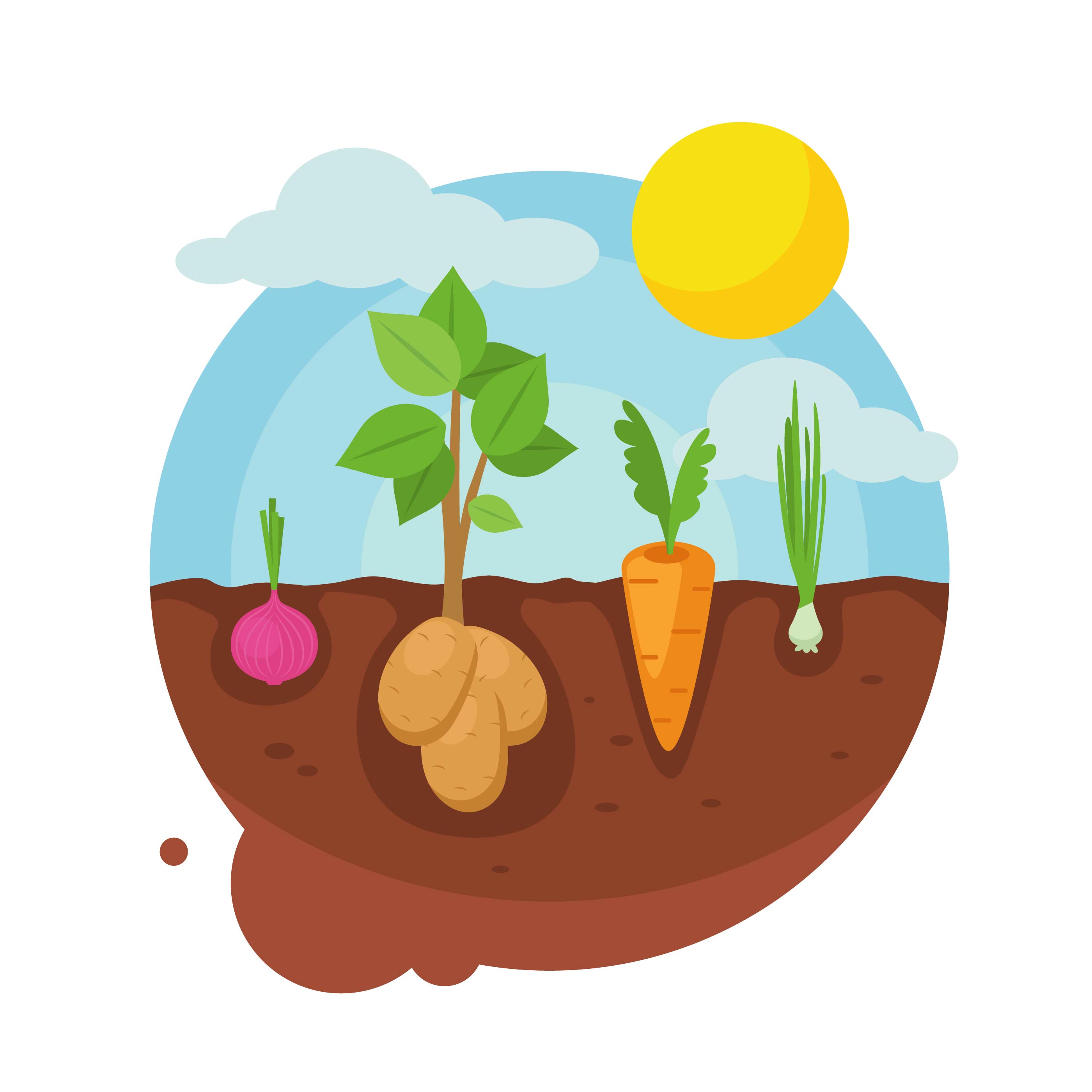 2800x2800 Vegetable Garden Free Vector Art