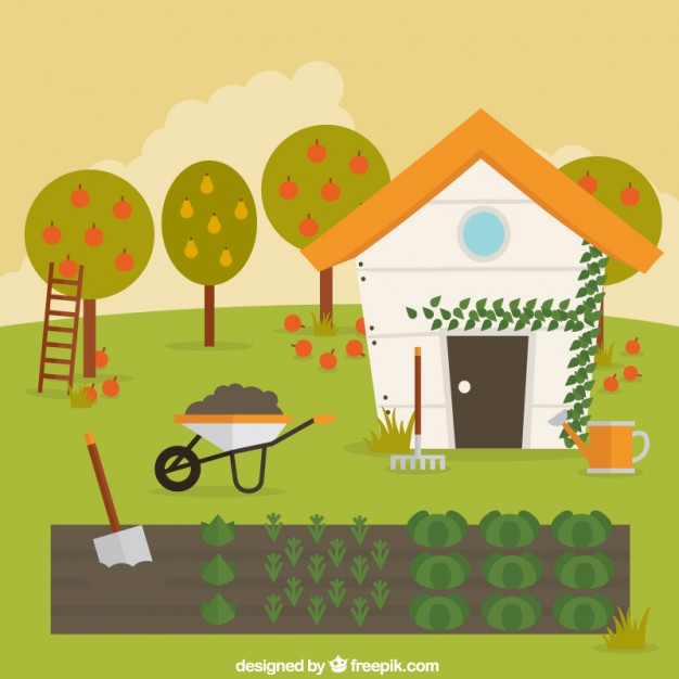 626x626 Vegetable Garden Vector Free Download