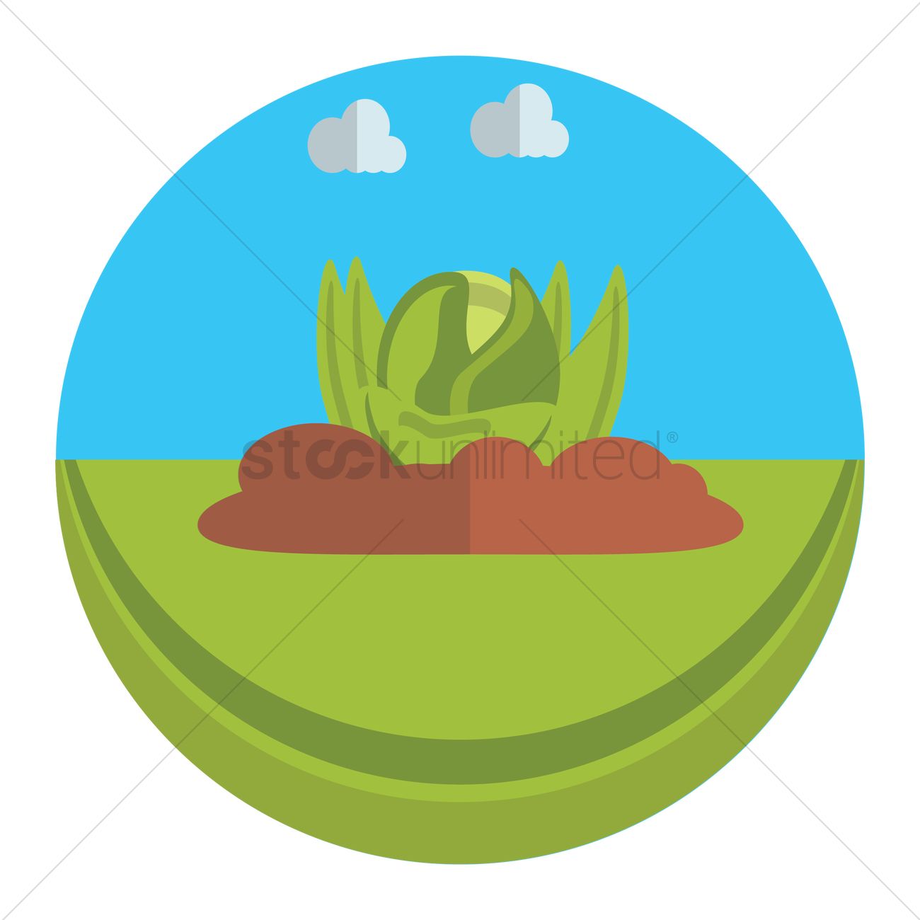 1300x1300 Vegetable Garden Vector Image