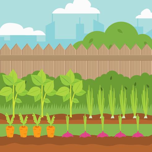 490x490 Vegetable Garden Vector Illustration