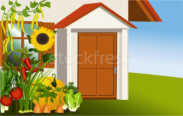 600x380 Vegetable Garden Vector Illustration Jagoda ( 2510341) Stockfresh