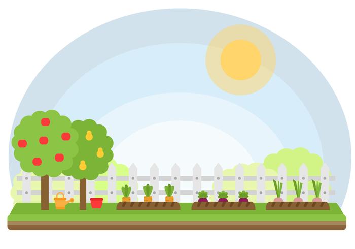 700x490 Vegetables Garden Vector