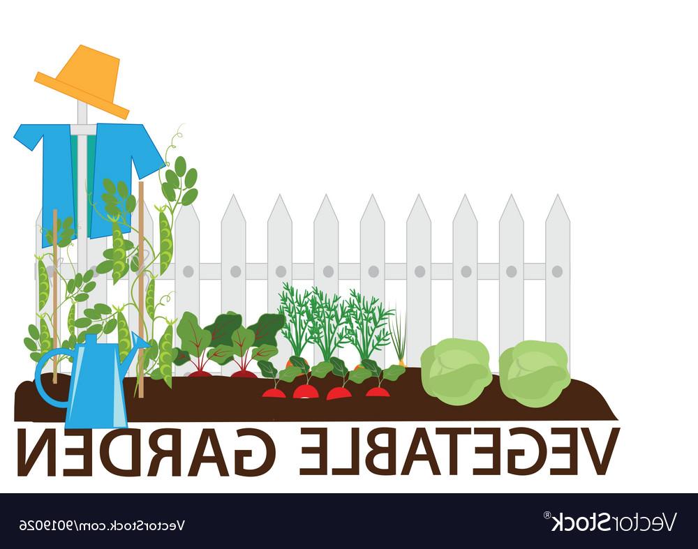 1000x787 Best 15 Vegetable Garden Vector Cdr