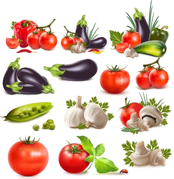 583x600 Realistic Vegetables Vector Free Vector In Encapsulated Postscript