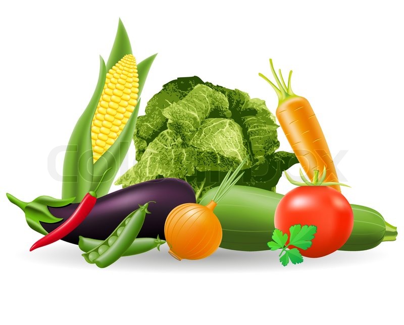 800x644 Still Life Of Vegetables Vector Illustration Stock Vector