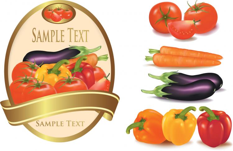 750x486 Vector Free Vectors Download 4vector