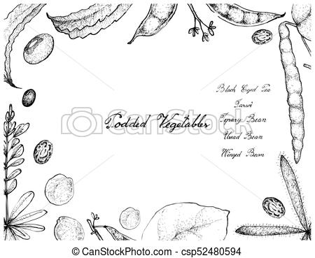 450x369 Hand Drawn Of Podded Vegetables Frame On White Background