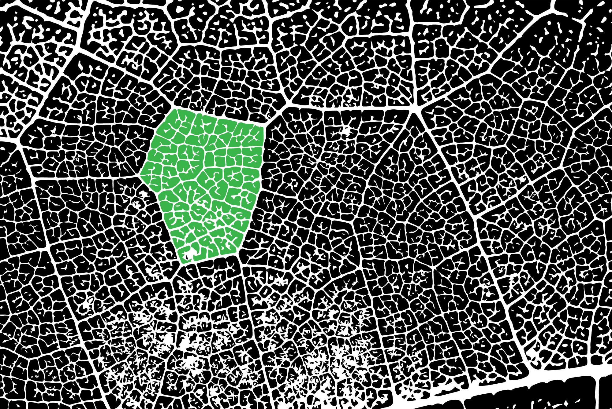 2000x1339 Leaf Veins Vector Background Aya Templates