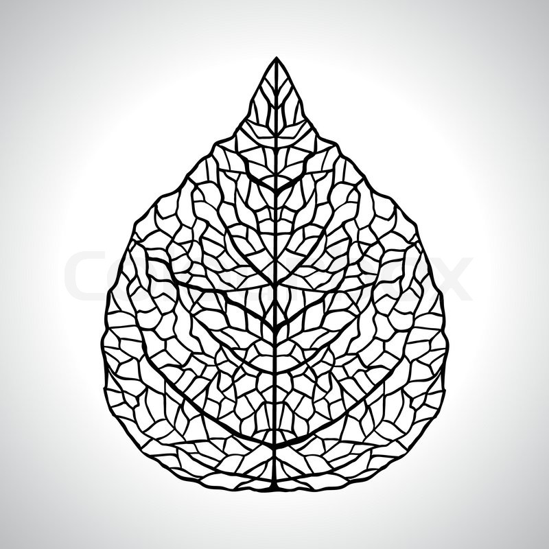 800x800 Vector Leaf Isolated Stock Vector Colourbox