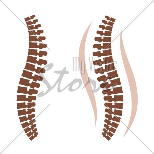 500x500 Human Spine Silhouettes Vector