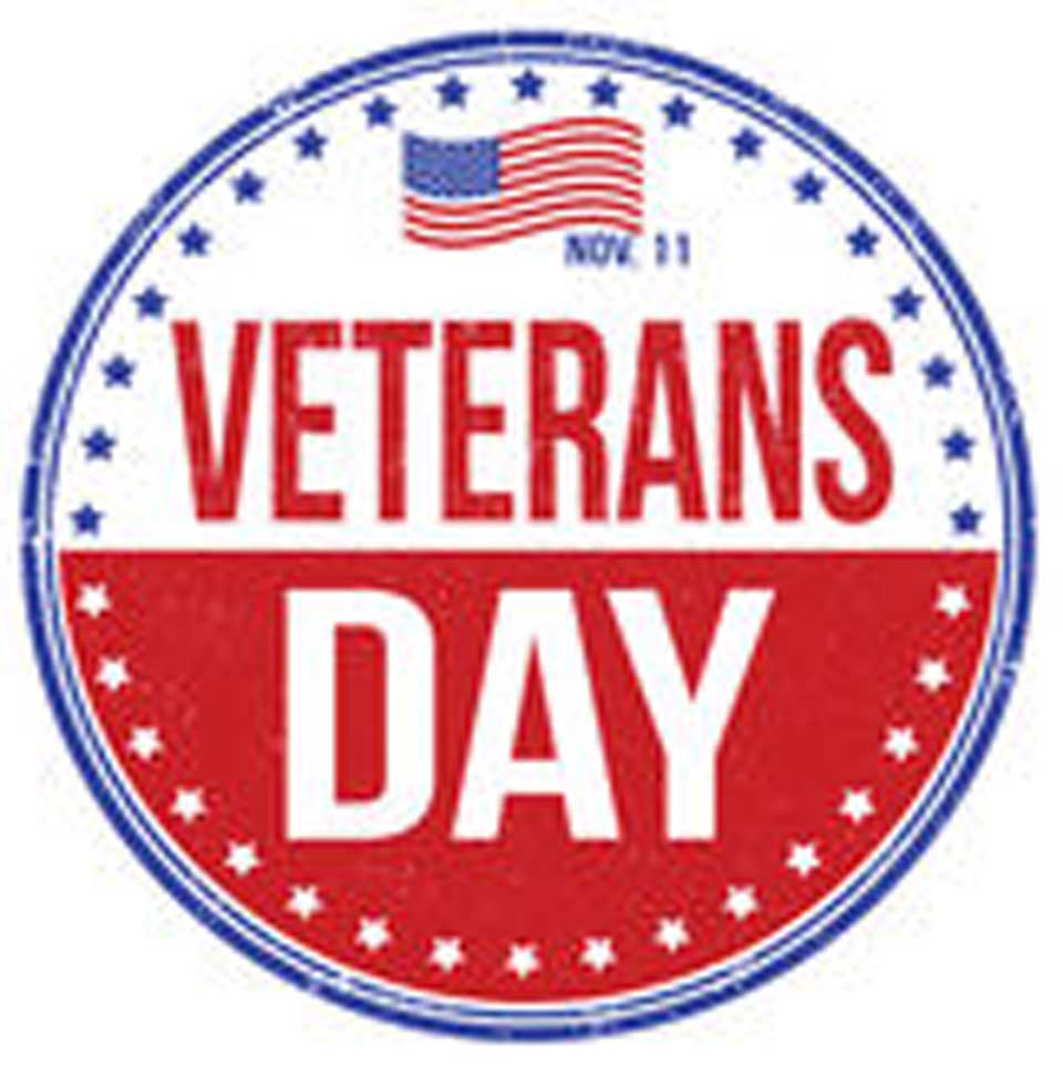 960x972 County Marks Veterans Day In Cooperstown, Oneonta, More