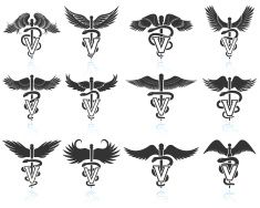 235x188 Veterinary Caduceus Black Amp White Royalty Free Vector Icon Set