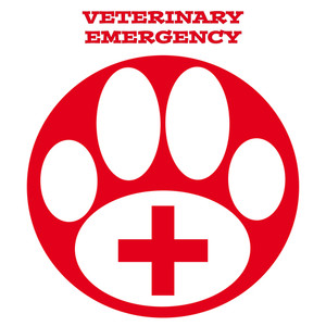300x300 Vet Symbol Royalty Free Vectors