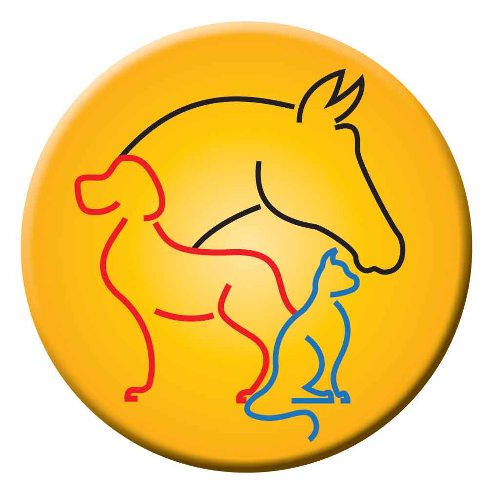 1011x1011 Symbol Clipart Veterinary