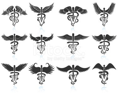 375x300 Veterinary Caduceus Black Amp White Royalty Free Vector Icon Set