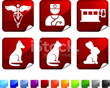 376x300 Veterinary Royalty Free Vector Icon Set Stickers Stock Vectors