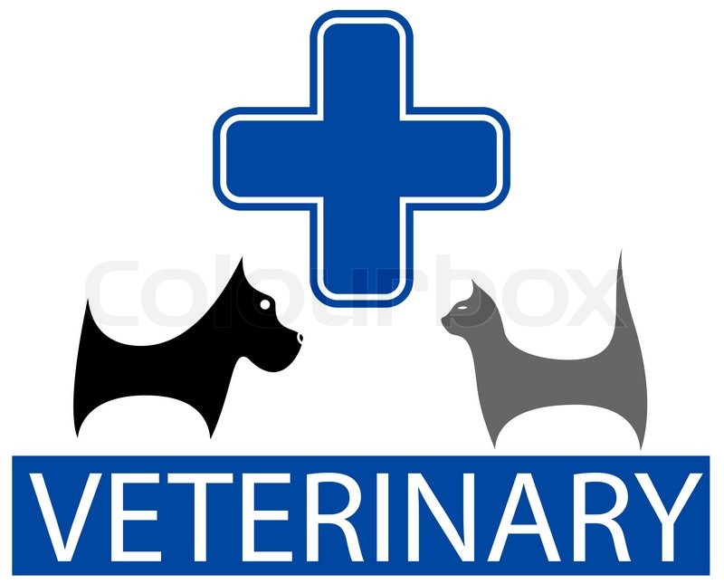800x645 Cute Veterinary Symbol With Isolated Cartoon Pet Stock Vector