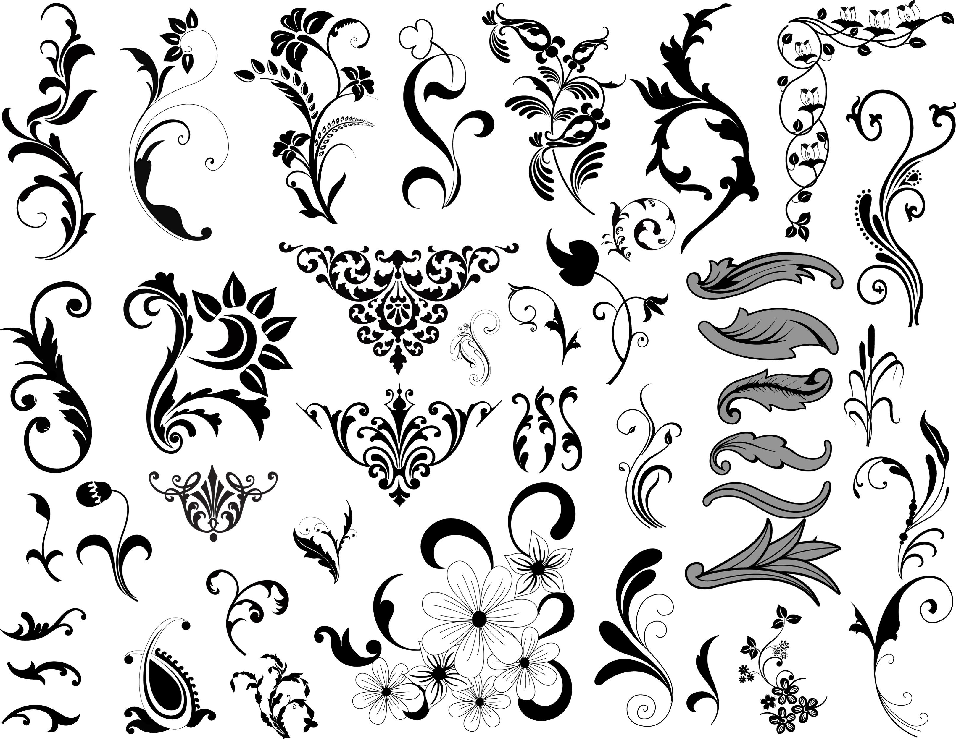 3231x2500 Vector Graphics Free Floral Vector Decor Designs Photoshop